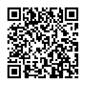 Deliciasdamassapizzariaelanchonete.com QR code