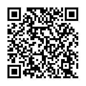 Democratic-party-of-the-philippines.org QR code