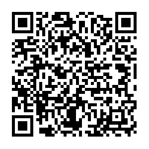 Dental-tribune.com.dob.sibl.support-intelligence.net QR code