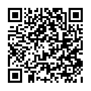 Desarrollosambientalesdelsureste.com QR code