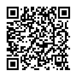 Design-up-living-ecommerce.myshopify.com QR code