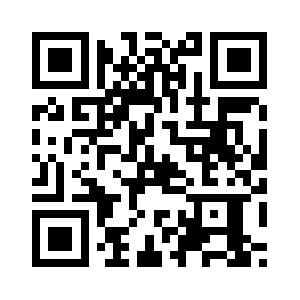 Developsoul.com QR code