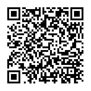 Df31288e-850b-41ff-bb2b-df56451b5448.distil.ninja QR code