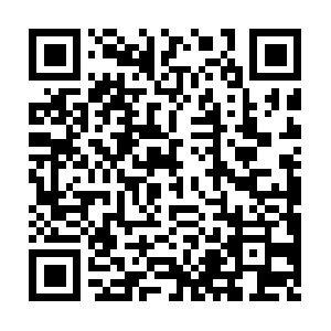 Diadecentralizedinformationasset.com QR code