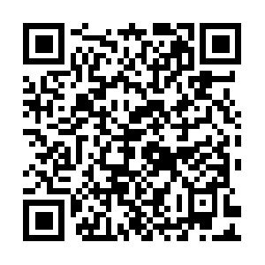 Dianataubforstatecommitteewoman.com QR code