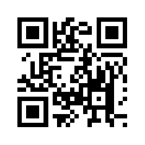 Dianfenji.com QR code