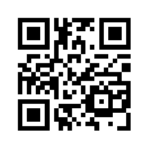 Dianyer66.com QR code