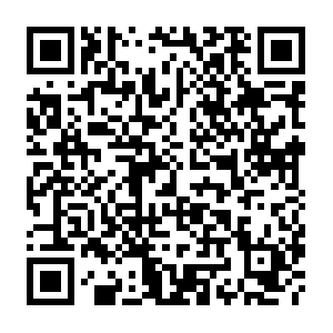 Die-richtige-energiezukunft-fuer-deutschland.biz QR code