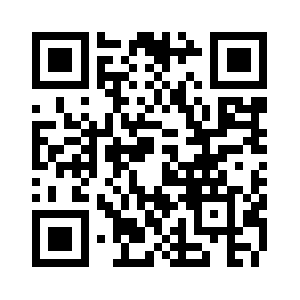 Diespuelfabrik.com QR code