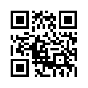 Digdugintl.com QR code