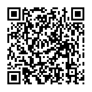 Digitalmultimediaprogramharoldwashingtoncollege.info QR code