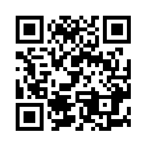 Digitalstandard.biz QR code