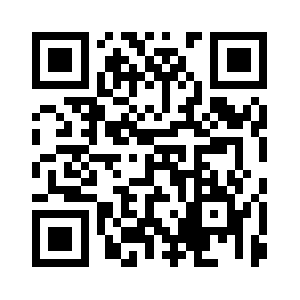 Digitialmediaguys.com QR code