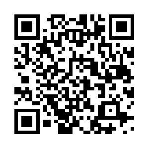 Dinamiktransfersistemleri.com QR code