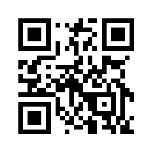 Dindinger QR code