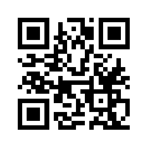 Dineral.biz QR code