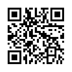 Dingtai-shotblasting.com QR code