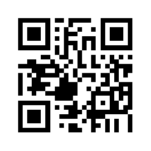 Dingzhiai.com QR code