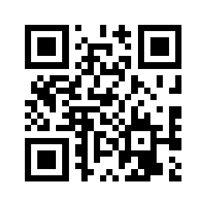 Dirbug.com QR code