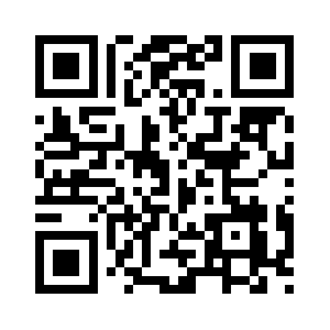 Directrapport.com QR code