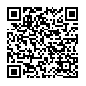 Disabilitydiscriminationact2005.com QR code