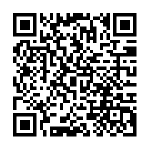 Discounteuroperivercruises2017.info QR code