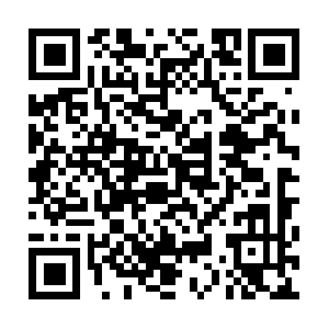 Discounttrucktransmissionrepairs.biz QR code