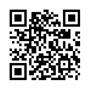 Districtleadernyc.com QR code