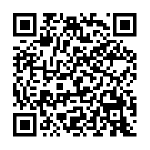 Ditmarsbuildingmaterialsandsupplies.com QR code