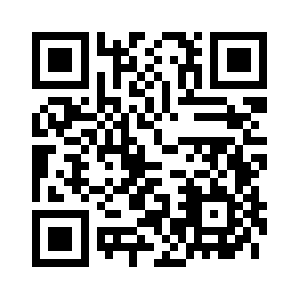 Divisionskin.com QR code