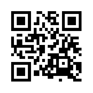 Diyhouston.com QR code