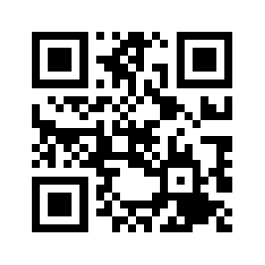 Diyjoy.com QR code