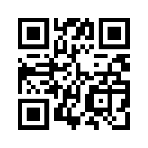 Diynetbiz.com QR code