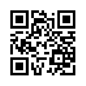 Dlvl.info QR code