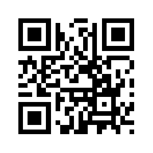 Dmchain.biz QR code