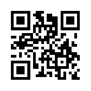 Dmsf.biz QR code