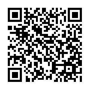 Dnahasaridnaonarimiveproteomiks.com QR code