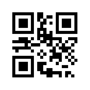 Dns.pt QR code