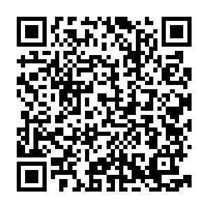 Dns.weixin.qq.com.getcacheddhcpresultsforcurrentconfig QR code
