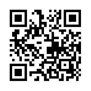 Dns1.p03.nsone.net QR code