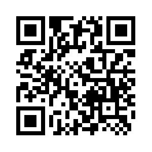 Dns3.p06.nsone.net QR code