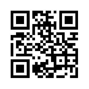 Dnvidov.mobi QR code