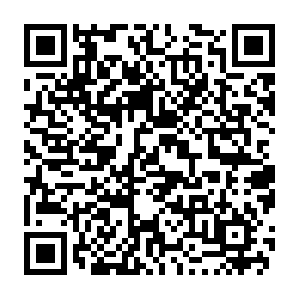 Do-prod-eu-central-clients-0610-2.do.binaryedge.ninja QR code