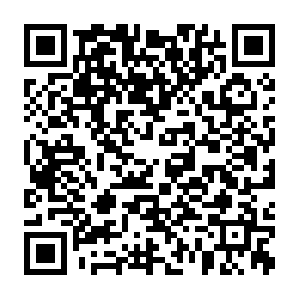 Do-prod-us-north-clients-0610-9.do.binaryedge.ninja QR code
