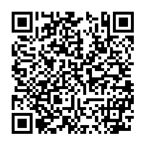 Do-prod-us-north-scanner-0610-10.do.binaryedge.ninja QR code