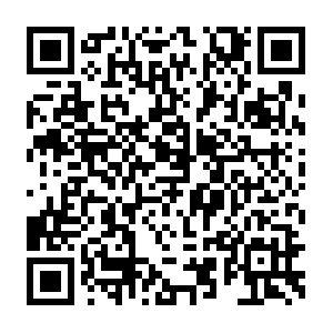 Do-prod-us-north-scanner-0610-17.do.binaryedge.ninja QR code