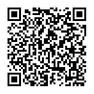 Do-prod-us-north-scanner-0610-24.do.binaryedge.ninja QR code