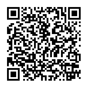 Do-prod-us-north-scanner-0610-25.do.binaryedge.ninja QR code