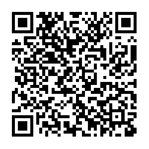 Do-prod-us-north-scanner-0610-26.do.binaryedge.ninja QR code