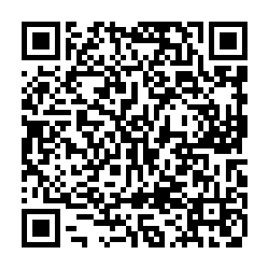 Do-prod-us-north-scanner-0610-30.do.binaryedge.ninja QR code
